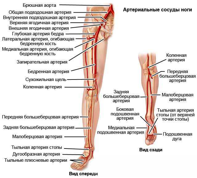 ats